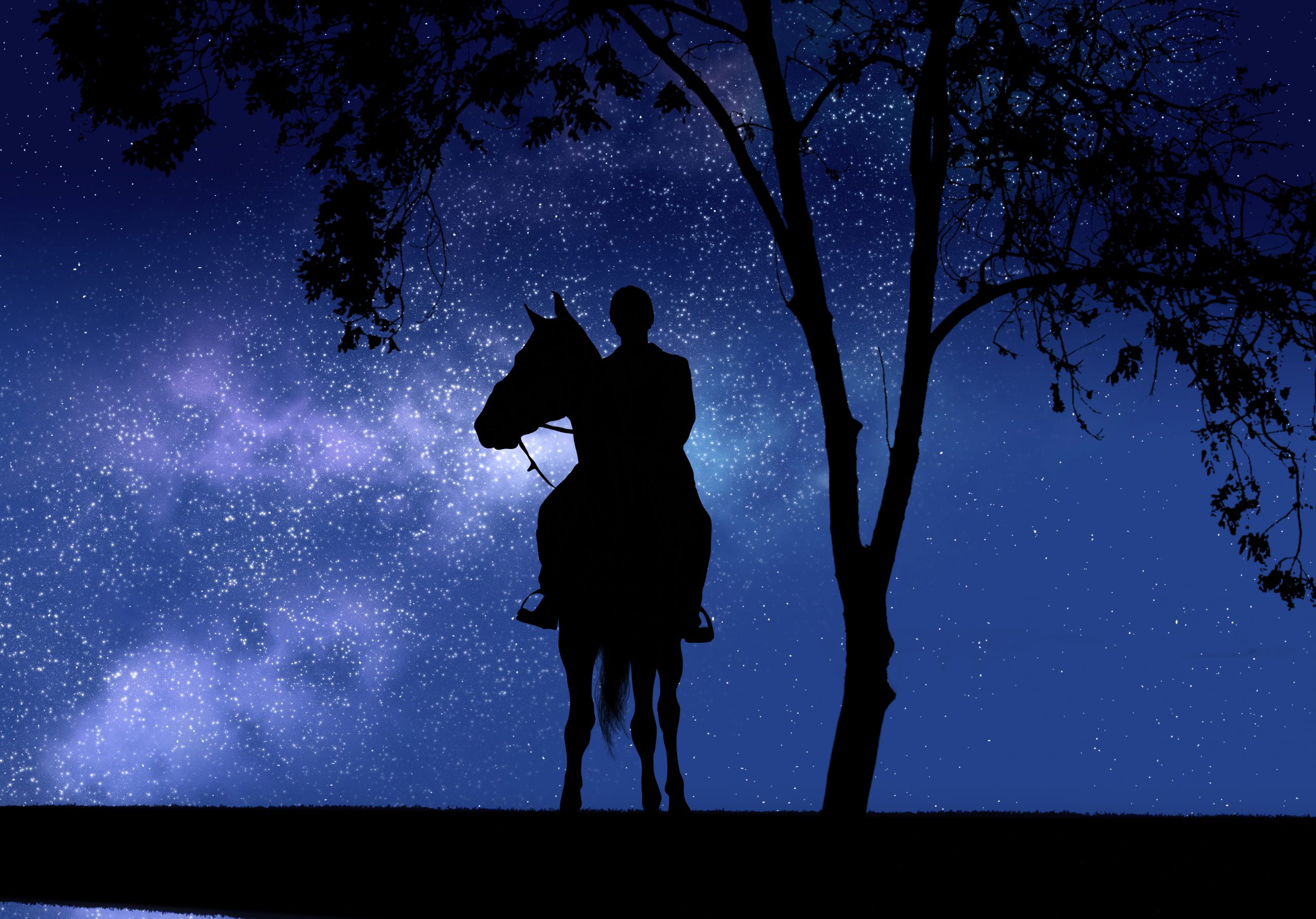 Silhouette of a rider on a horse at his quiet lake in front of the Milky Way