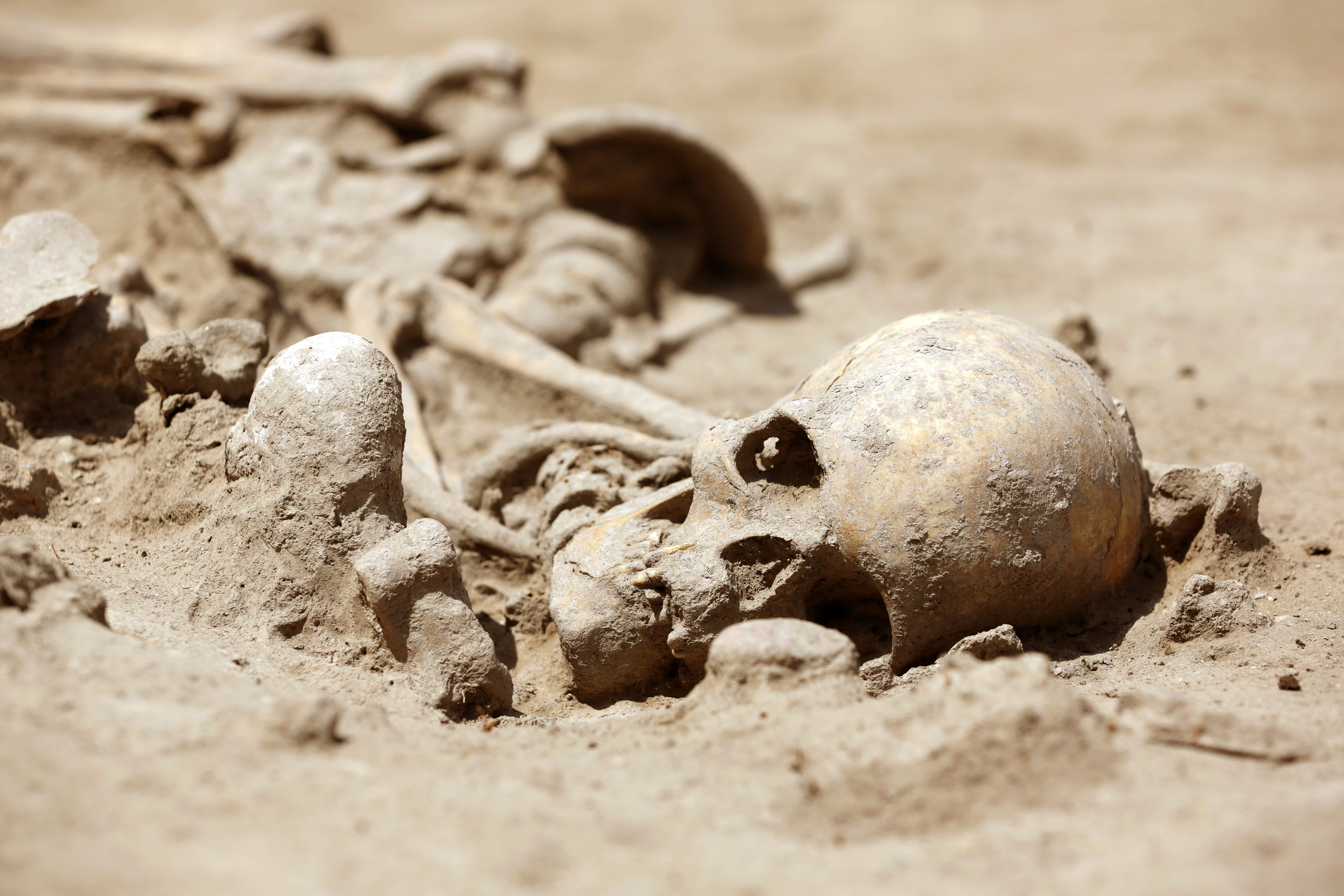 Close-Up Of Human Skull On Sand