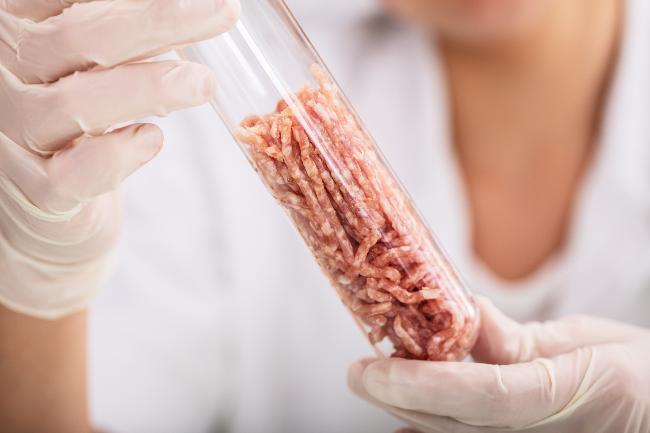 Scientist Hold Meat Sample In Lab Test Tube