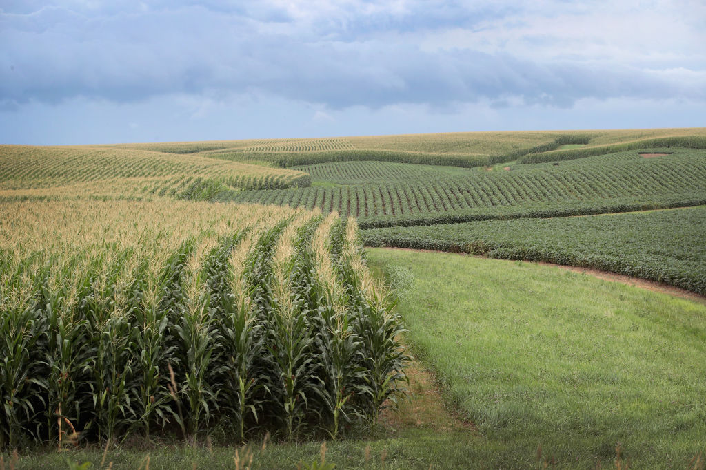 Iowa’s Agricultural Economy Under Threat From Trade War With China