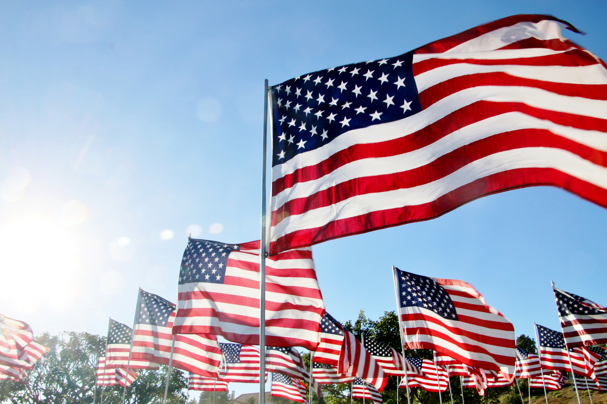 United States flags blow in the wind in Malibu, CA