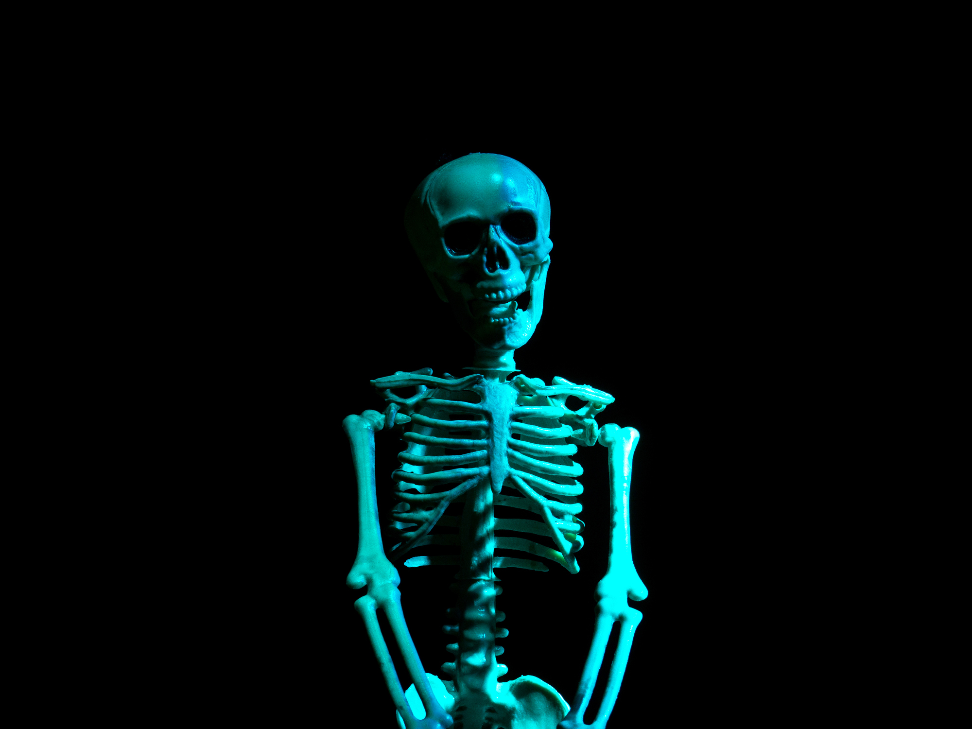 Skeleton with black background. Halloween Creative image.
