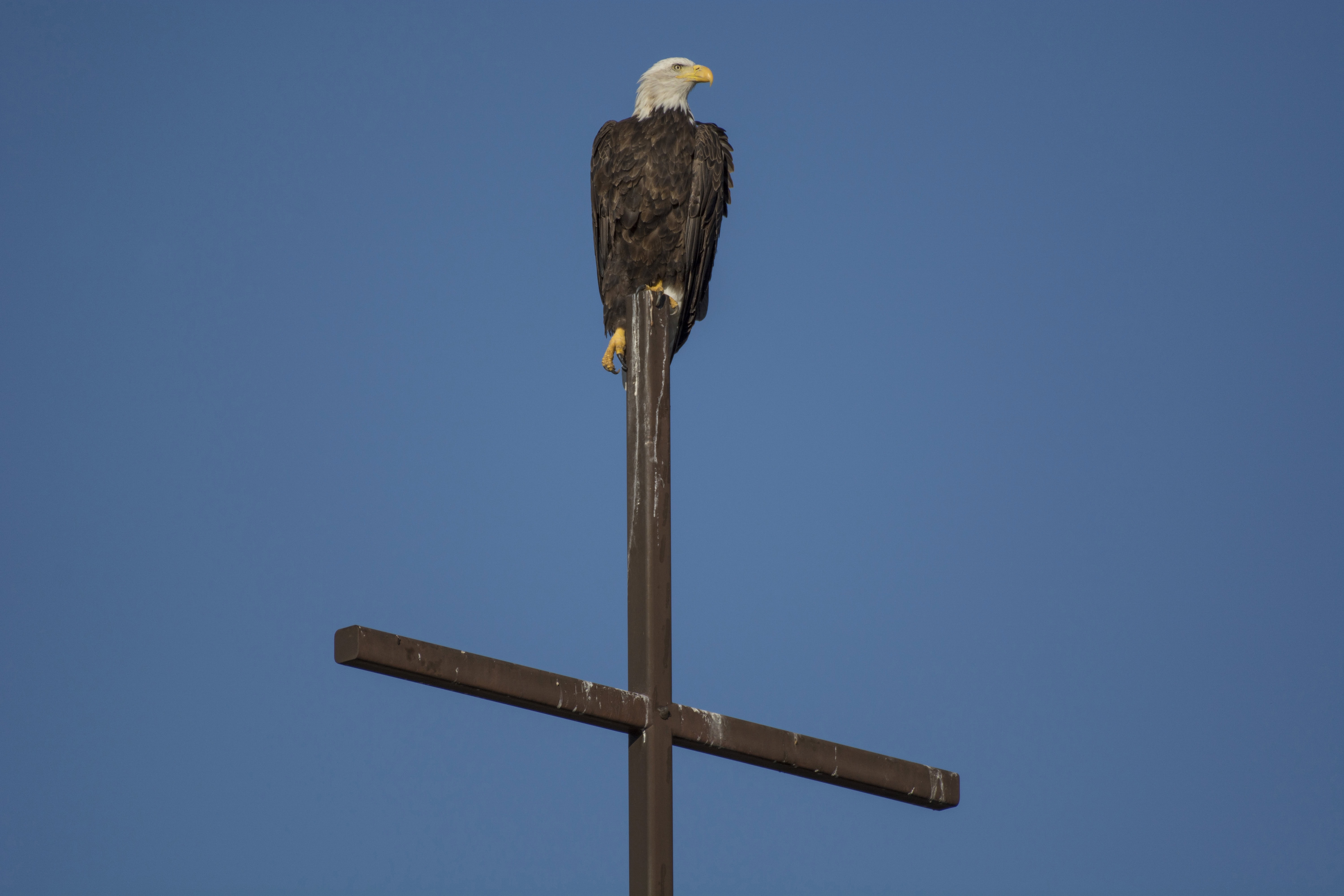 God and Country