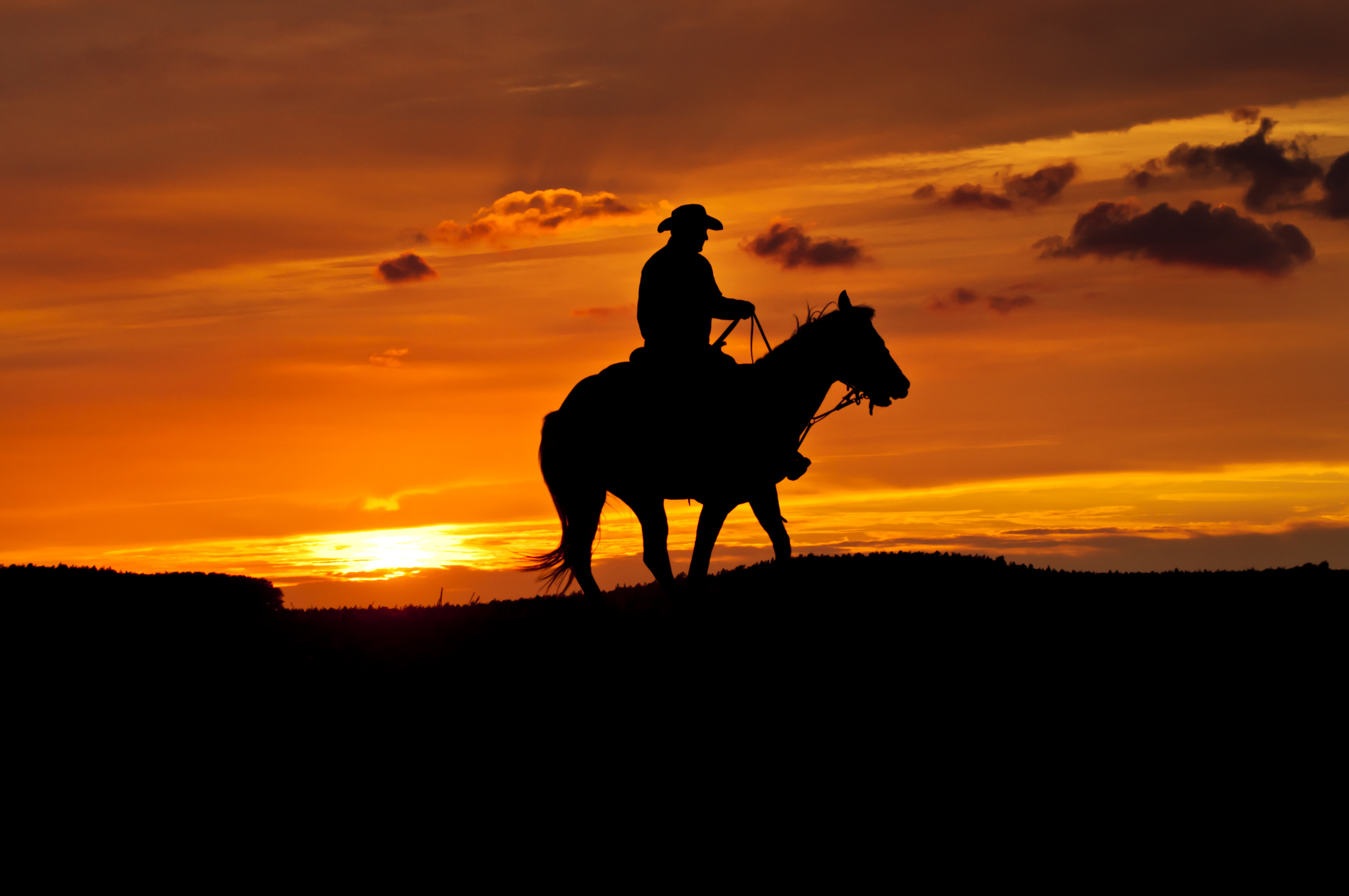 Black silhouette of a cowboy riding a horse at sunset