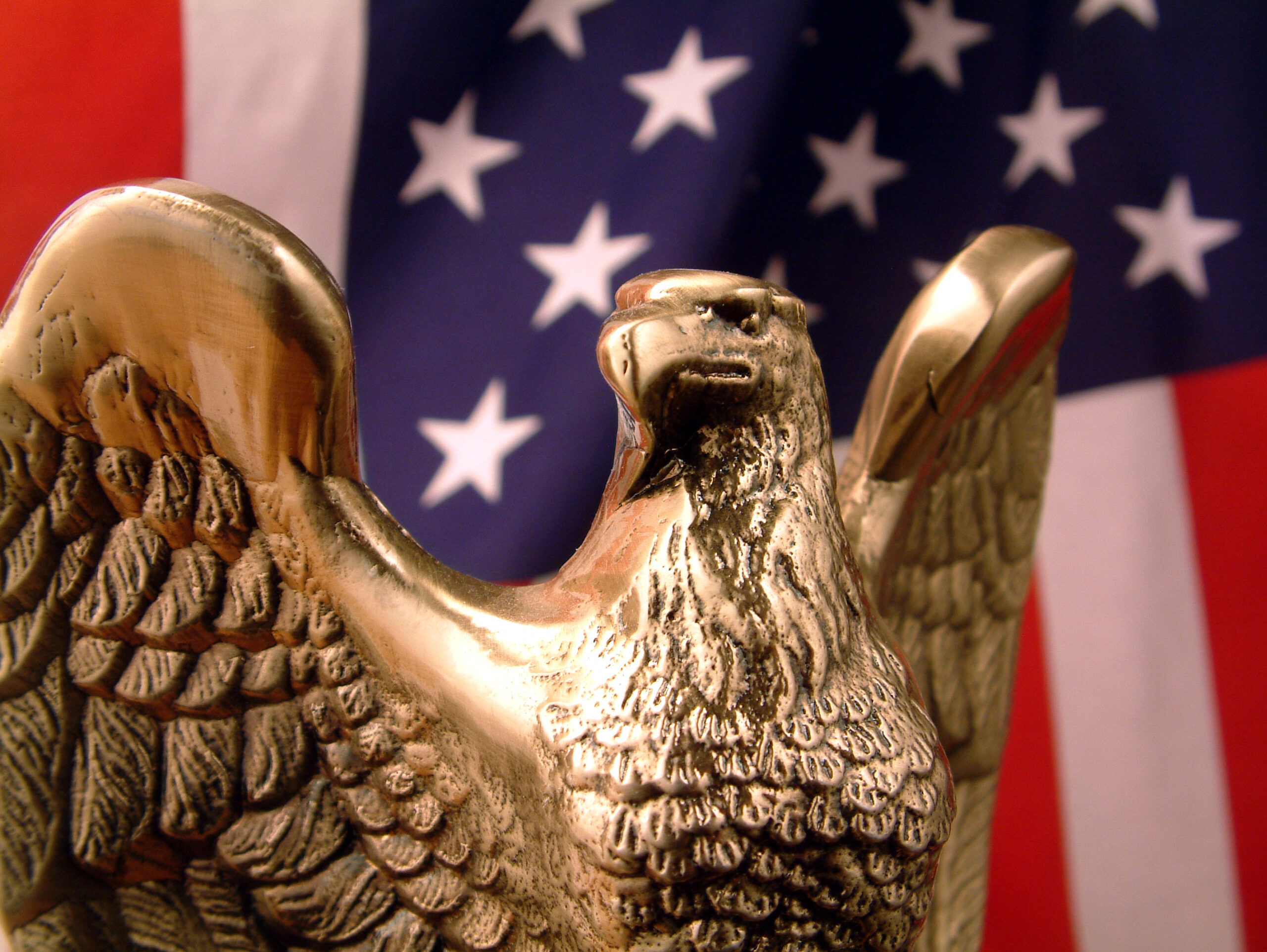 Bronze Eagle with flag