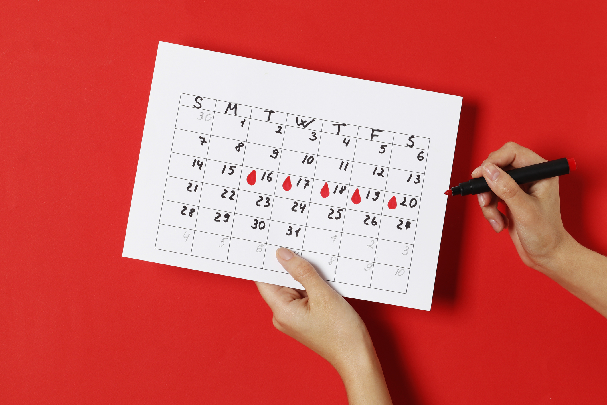 The girl notes on the calendar the days of ovulation on a red background. Ovulation concept. menstruation concept.
