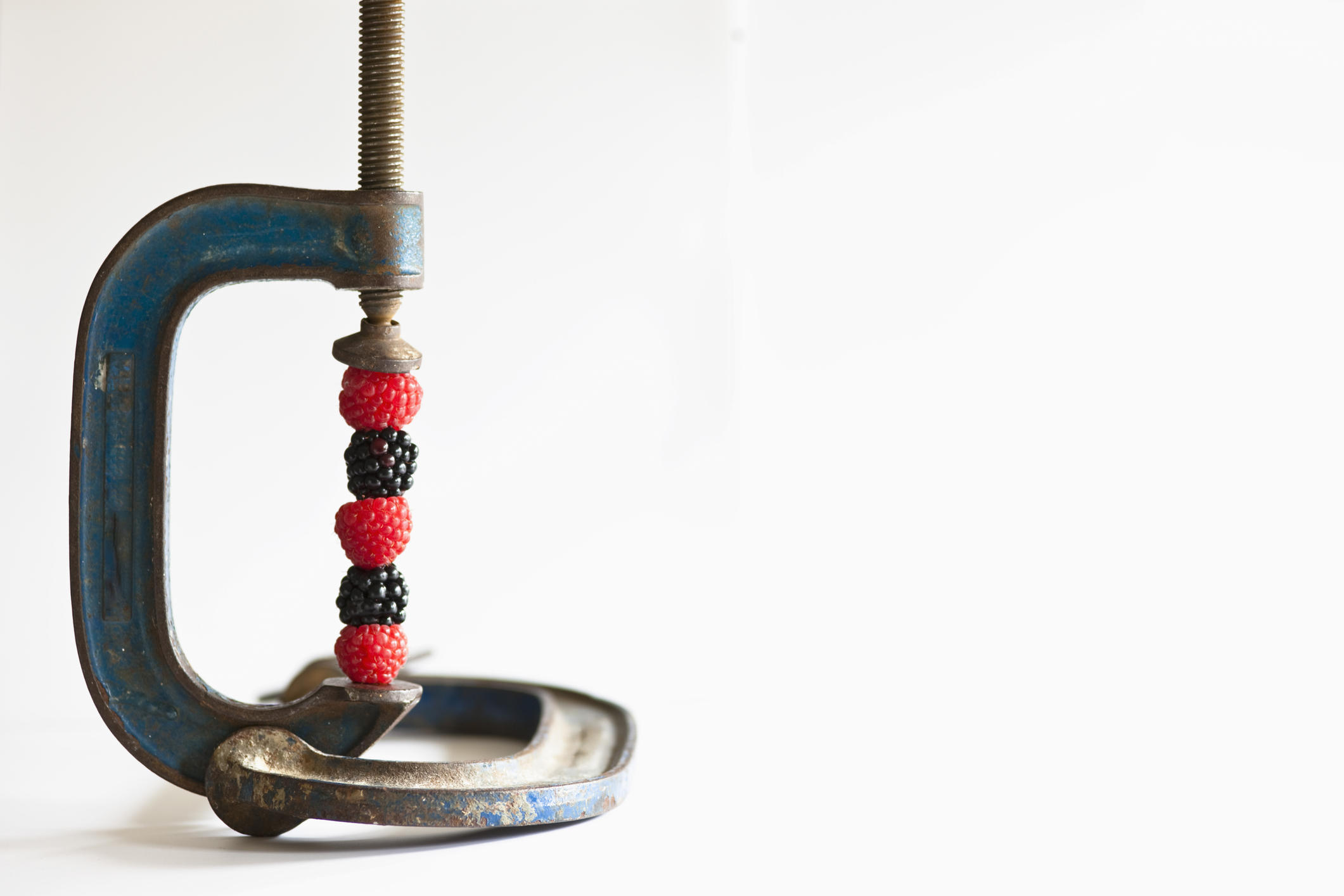 Close up of a metal clamp holding together raspberries and blackberries