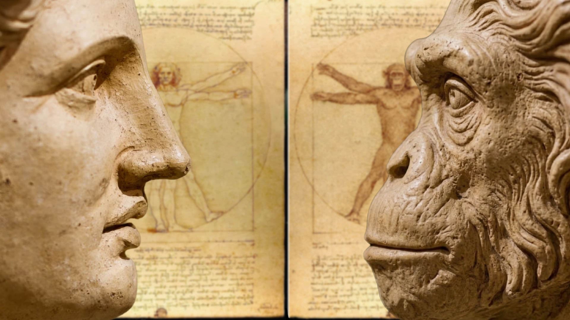 TR E313a Art – NoLogo